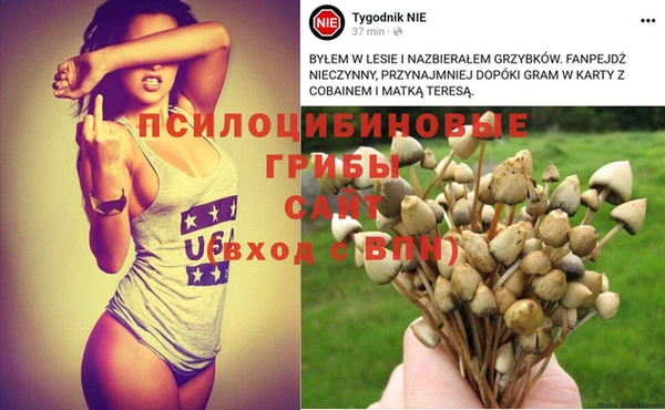 гашик Балабаново