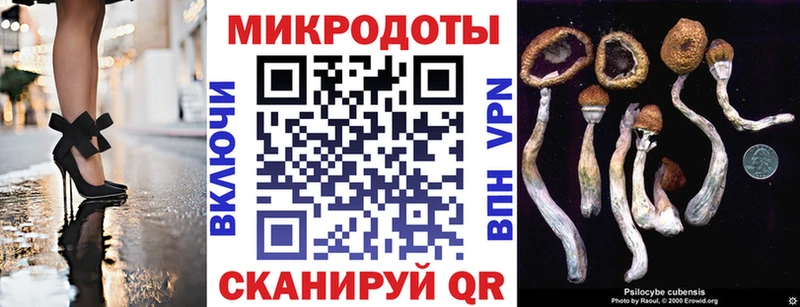 хочу наркоту  Семилуки  нарко площадка официальный сайт  Псилоцибиновые грибы Magic Shrooms  hydra зеркало 